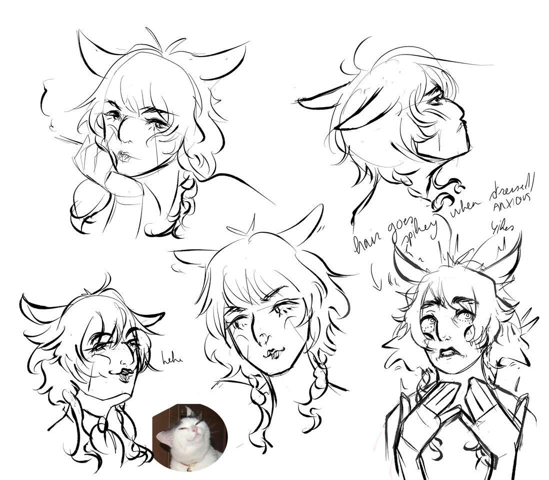 Nai sketches january 26