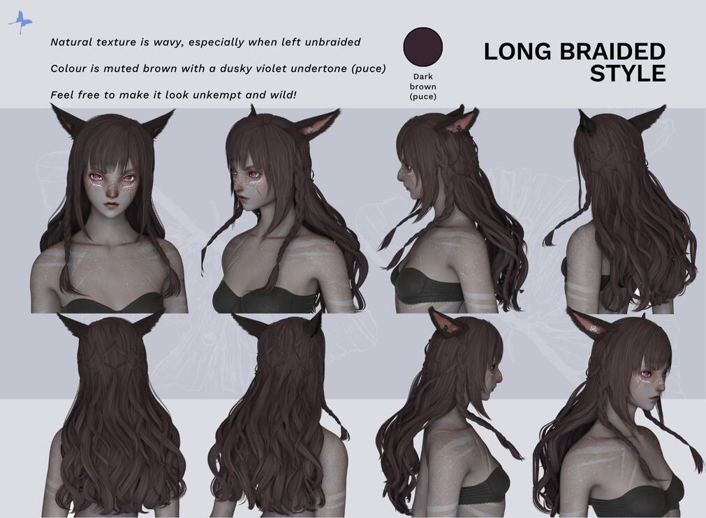 Hair: long braided style