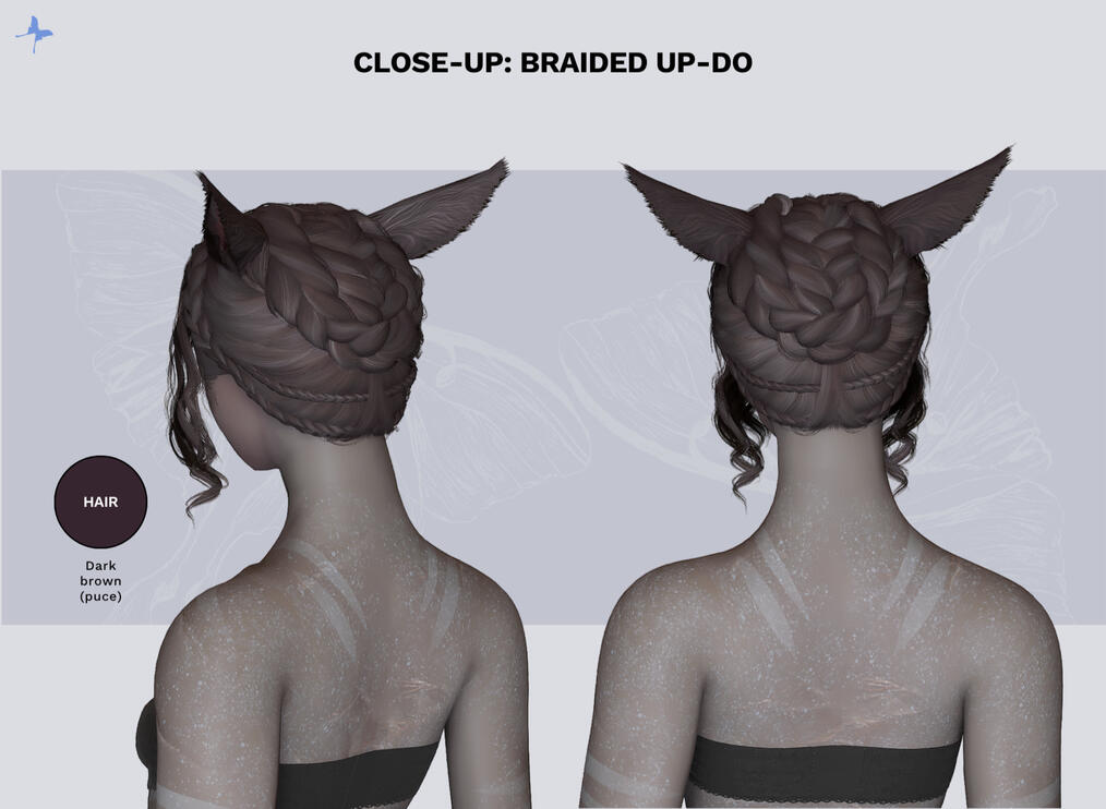 Hair: braided up-do style (close-up)