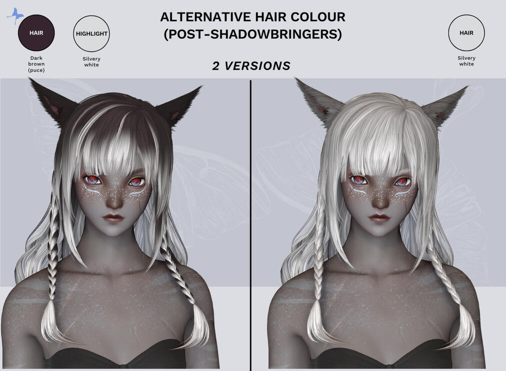 Hair: long braided style (alt-colours)